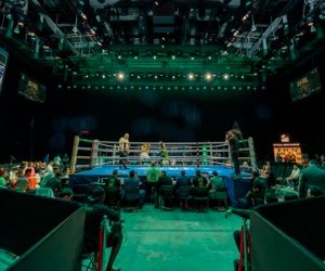 WBC Grand Prix Finals results Four new boxing stars Carlos Utria Kevin Ramírez Ahmed Krnjić Brandon Mejía Muhamed Qamili watch full fight highlights youtube Derek Pomerleau Dylan Biggs