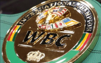 What the WBC International title means