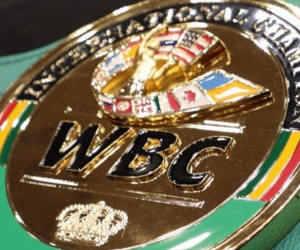 What the WBC International title means